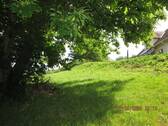 IMG_1415.JPG - 