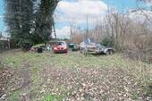 IMG_2539 - 
