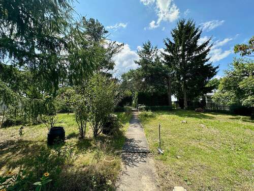 Ansicht Mitte zur Straße - 