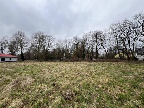 Blick Richtung Grundstücksgrenze straßenseitig - 
