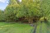 Bild 12 - 