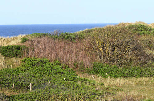 Aussicht - 3 Zimmer Etagenwohnung in Wangerooge