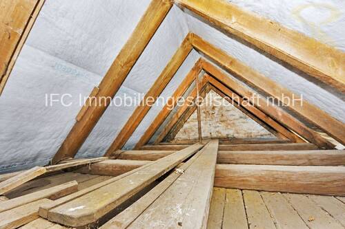 Dachspitz - 