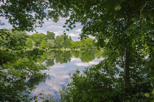 Grimnitzsee - 