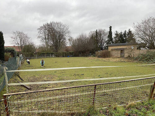 Baugrundstück - Baulücke für Einfamilienhaus - 85.000,00 EUR Kaufpreis, ca.  0,00 m²