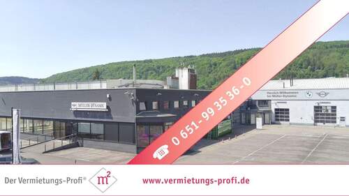 Außenansicht - Trier-Euren: Vielseitige Büroflächen mit Top-Ausstattung auf ca. 740?m² - inkl. neuer, moderner Gasheizung