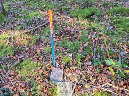 Waldverkauf-ostallgaeu_25.jpg - 