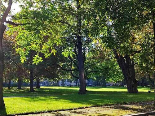 Parkanlage im Wohnumfeld - Etagenwohnung mit 102,20 m&sup2; in Chemnitz zur Miete