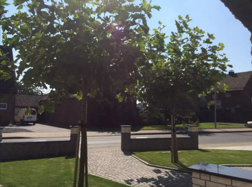 Vorgarten - Einfamilienhaus mit 240,00 m&sup2; in Hückelhoven zum Kaufen