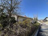 IMG_2444 - 