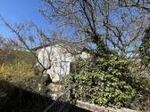 IMG_2443 - 