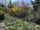 IMG_2403 - 