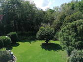 Garten mit Wald - 5 Zimmer Reihenendhaus zum Kaufen in Hanau