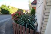 IMG_1746.JPG - 