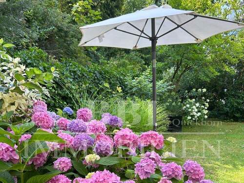 Alte Sommerimpressionen - 