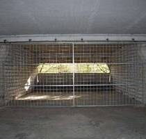 ***Vielseitig nutzbare Doppel-Garage in Köln-Porz mit Licht und Strom***