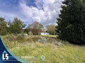 Gartenteich - 
