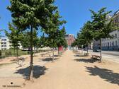 Umgebung - 