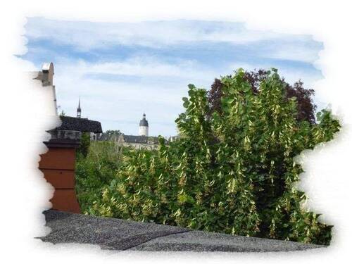 Schlossblick - 