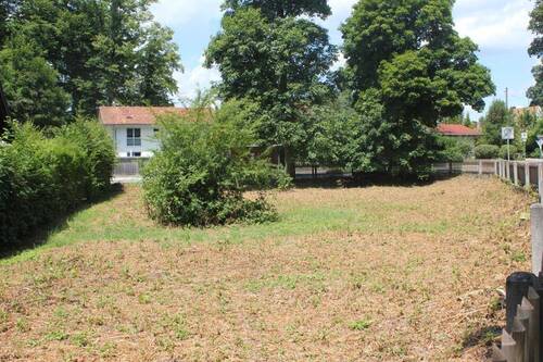 Grundstücksansicht in Richtung Zufahrt - Grundstück in Bernried am Starnberger See