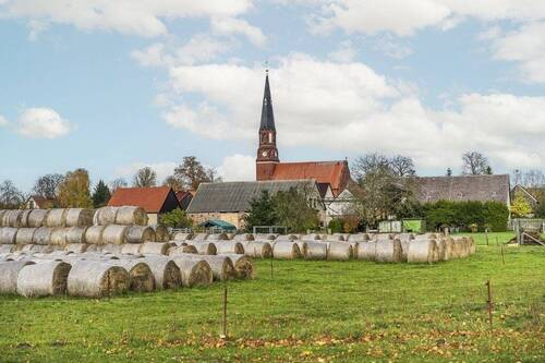 Ruhe und Gelassenheit - Grundstück zum Kaufen in Schönwalde-Glien