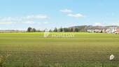 Ausblick - 