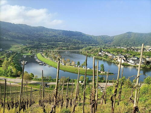 Blick von den Weinbergen - 