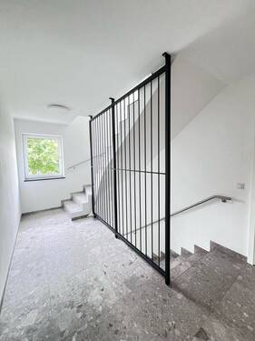 Hausflus - 