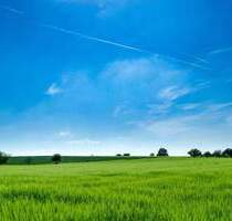 Unbebautes Grundstück in ruhiger Lage von Eitensheim zu verkaufen.