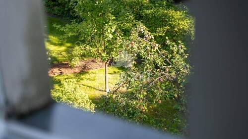 Mietergarten / Blick aus dem Fenster - 
