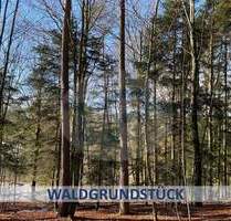 SCHÖNES WALDGRUNDSTÜCK CA. 1045 M² GRUNDSTÜCKSFLÄCHE - Auerbach Prechhausen