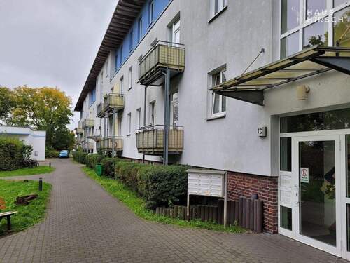 20251007_120101_resized - 