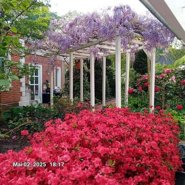 Bild 1 - Von Privat Einfamilienhaus mit großem Garten