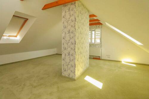 Dachstudio - 