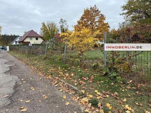 Bild 3.jpg - 