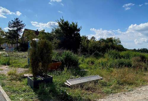 IMG_0254 - Sonniges Baugrundstück für Einfamilienhaus