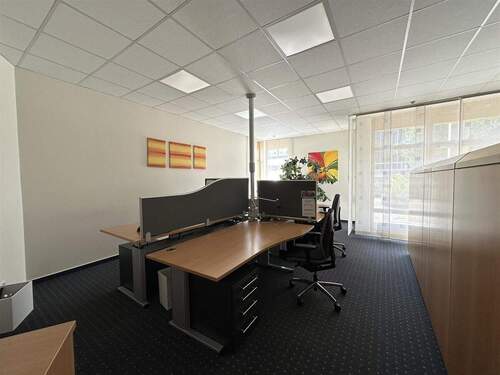 Offene Bürofläche - Büro in Simmern/ Hunsrück zur Miete