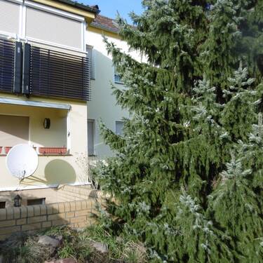 Terrasse - 