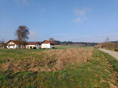 Baugrundstück mit Genehmigung für die Bebauung mit 2 Bungalows (zwei Flurnummern) - Grundstück zum Kaufen in Haarbach