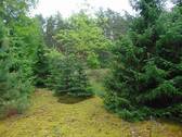 Garten.jpg - 