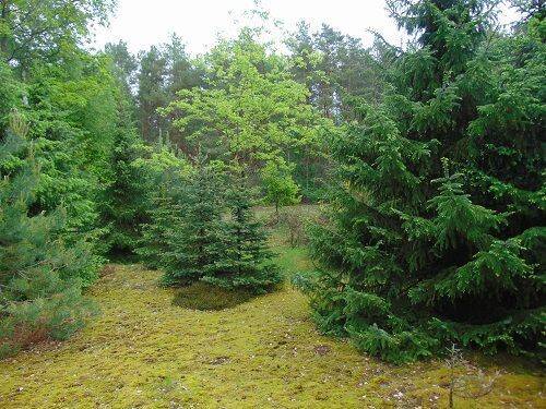 Garten.jpg - 
