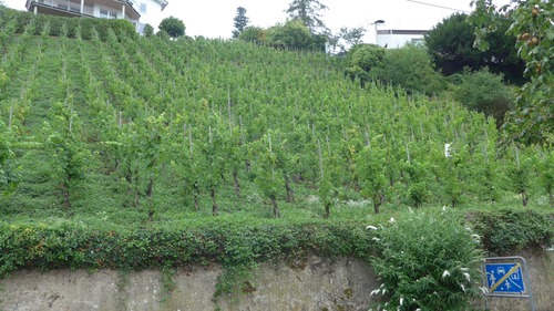 Straßenansicht - Grundstück in Alf