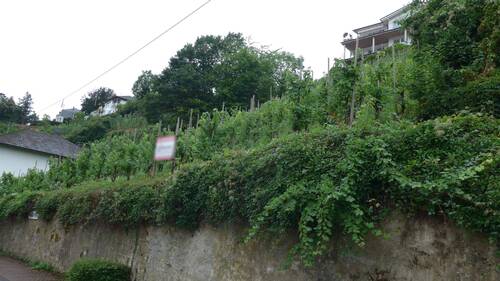 Straßenansicht - Grundstück in Alf zum Kaufen