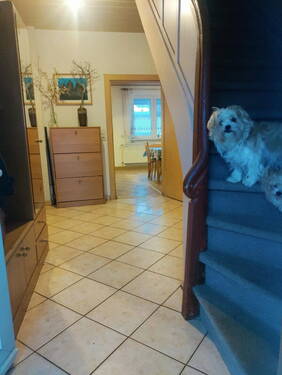 Flur EG - 4 Zimmer Einfamilienhaus zum Kaufen in Schönbrunn