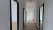 Bild 12 - 
