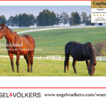 Wohnen mit Pferd - Hochwertige Wohnangebote der Luxusklasse - Prichsenstadt Kirchschönbach