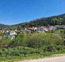 * Ein Traum für Naturliebhaber * - Forbach Langenbrand