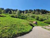 ... so schön ist es fast direkt vor der Haustür - Grundstück zum Kaufen in Forbach