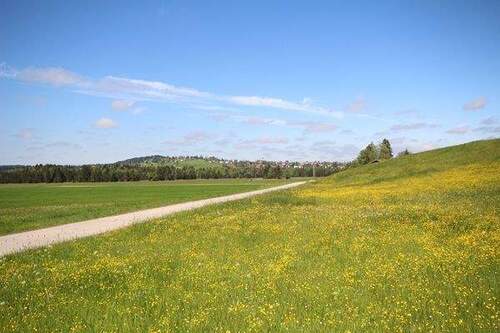 Ruhige Lage, grüne Umgebung – und das Honigdorf Seeg in Sichtweite - Etagenwohnung mit 50,70 m&sup2; in Seeg zum Kaufen