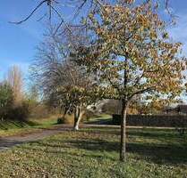 Unweit vom Bahnhof Spandau, eine wunderbare sonnige, grüne und ruhige Oase! - Berlin